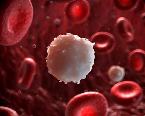 Blood Cancer